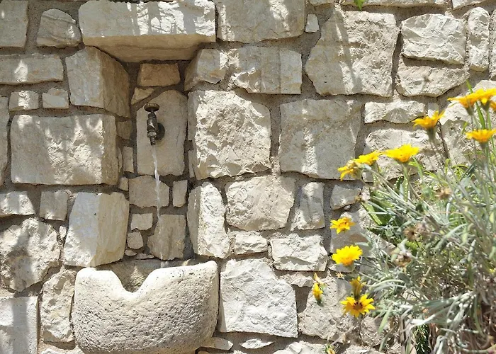 Janas * Бауней