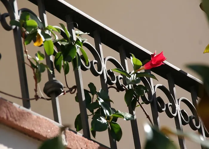 Appartement Janas Baunei